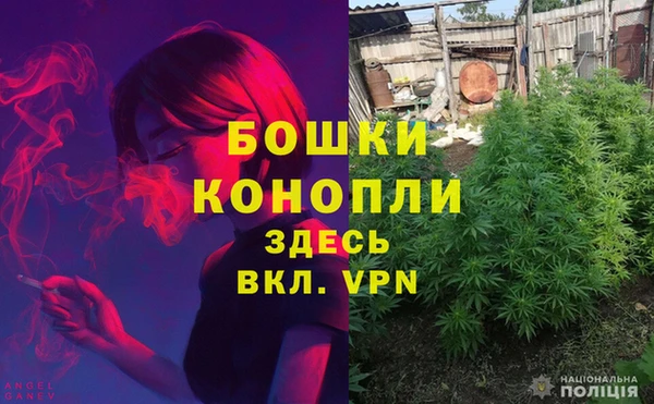 стафф Магас