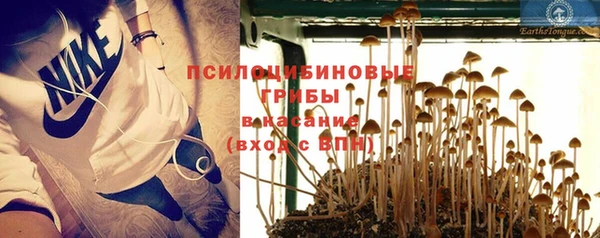 стафф Магас