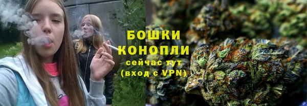 спайс Майский