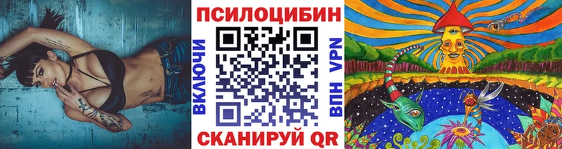 Купить Новая Ладога Галлюциногенные грибы GOLDEN TEACHER