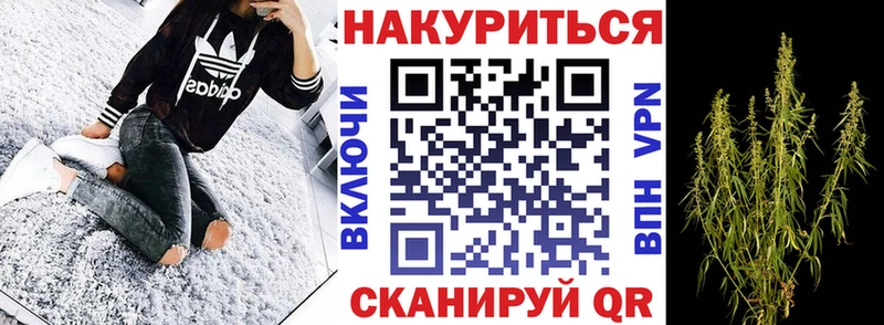Купить закладки  Новая Ладога  Бошки марихуана White Widow 